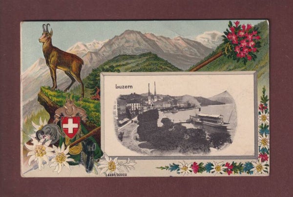 LUZERN und Edelweiss - 1913 Präge // Falte //