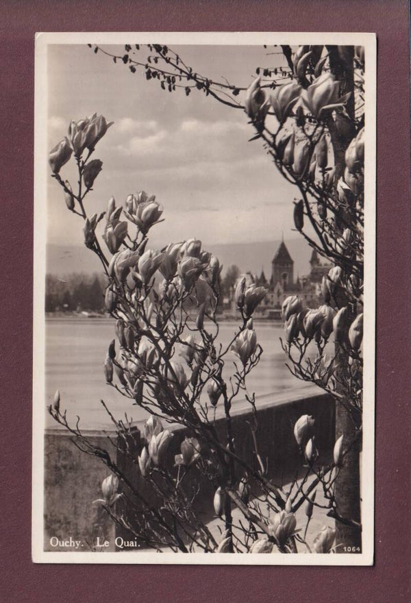 LAUSANNE - Ouchy - Magnolia