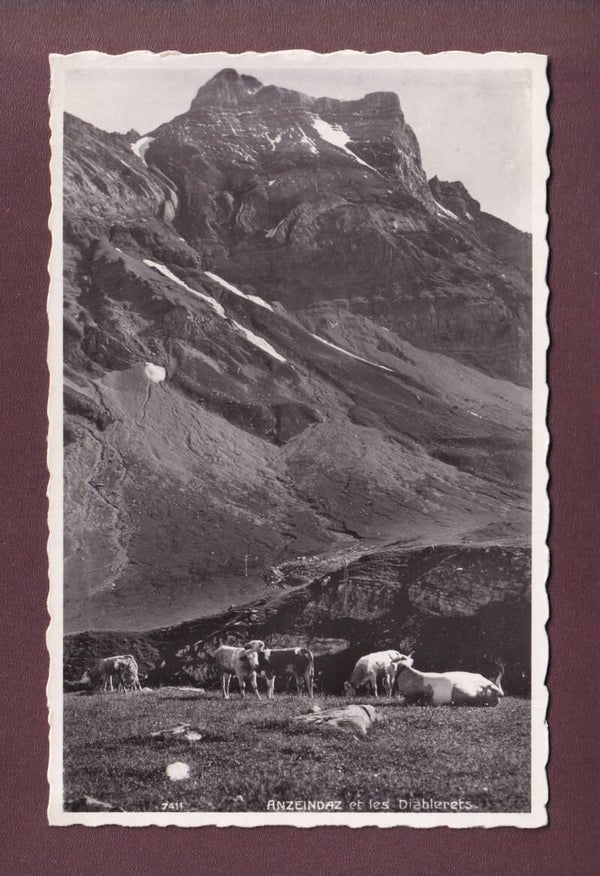 ANZEINDAZ - Vaches - Diablerets - 1940