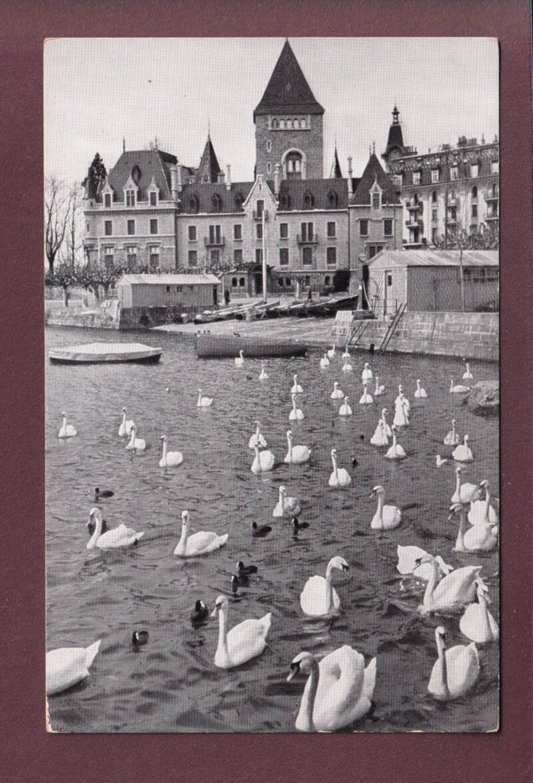 LAUSANNE - Ouchy - Château - Cygnes