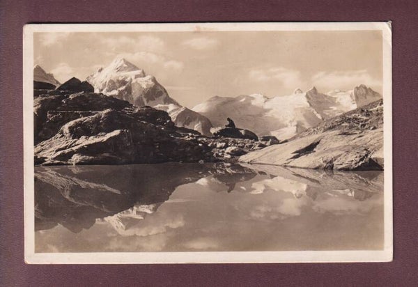 FUORCLA-SURLEY - Piz Roseg - Sella-Gruppe - 1926