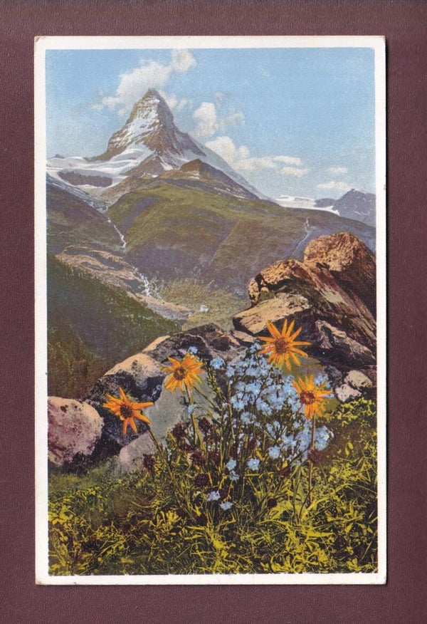 CERVIN / MATTERHORN - Arnica Montana - 1933