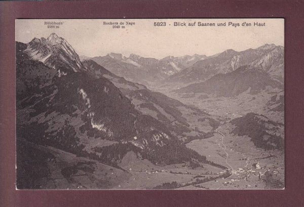 Blick auf SAANEN und Pays d'En Haut