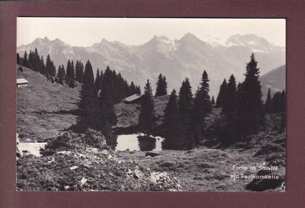 Partie im SAUSTAL - Faulhorn-Kette
