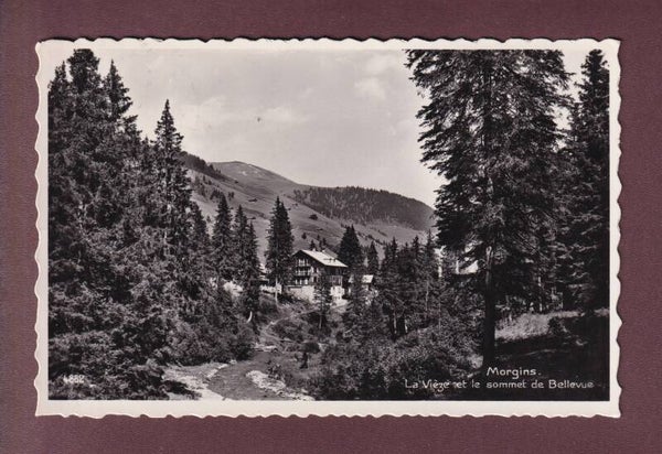 MORGINS - La Viège - 1954