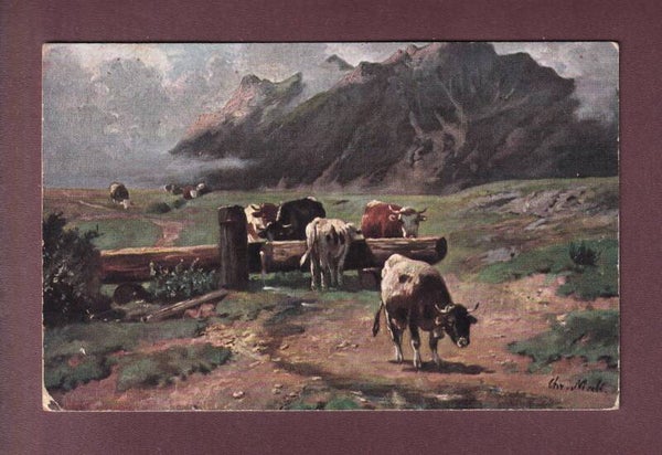 VACHES par Muli