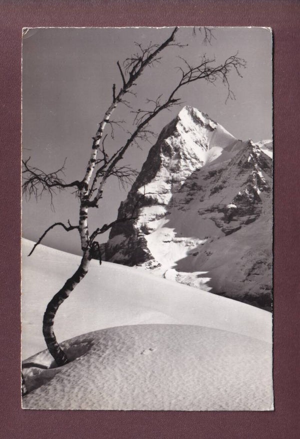 EIGER - Winterlandschaft - 1964