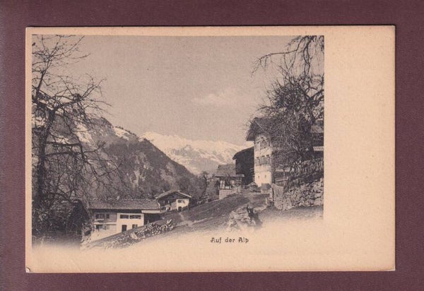 Auf der ALP