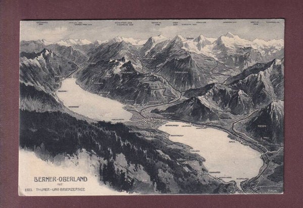 BERNER OBERLAND - Vogelschau
