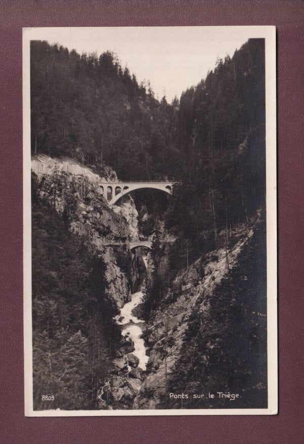 Ponts sur le TRIEGE