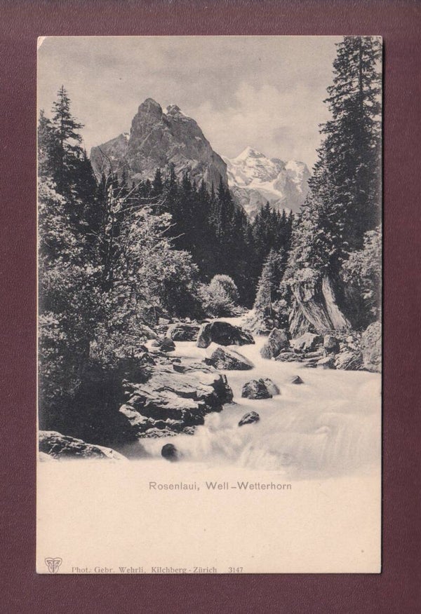 ROSENLAUI - Well- und Wetterhorn