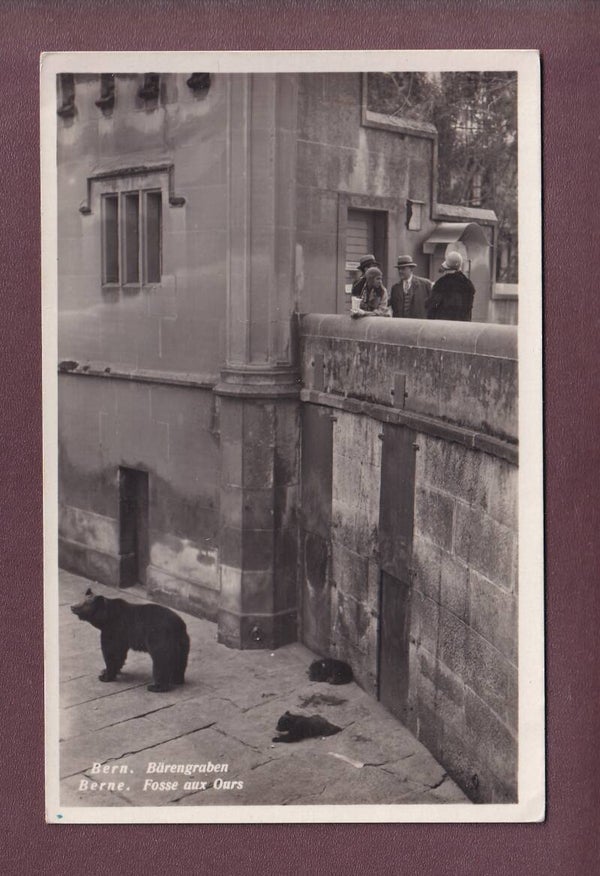 BERN - Bärengraben - 1934
