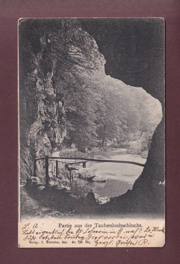 Partie aus der TAUBENLOCHSCHLUCHT - 1905