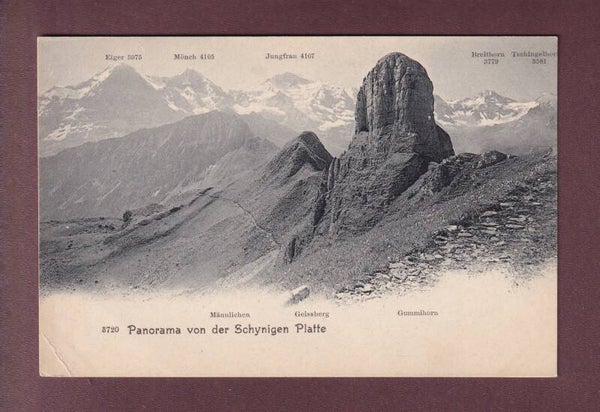 SCHYNIGE PLATTE - Gummihorn