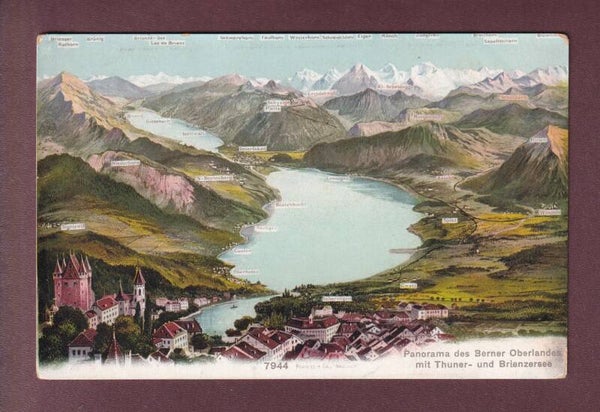 THUN und Umgebung - Vogelschau