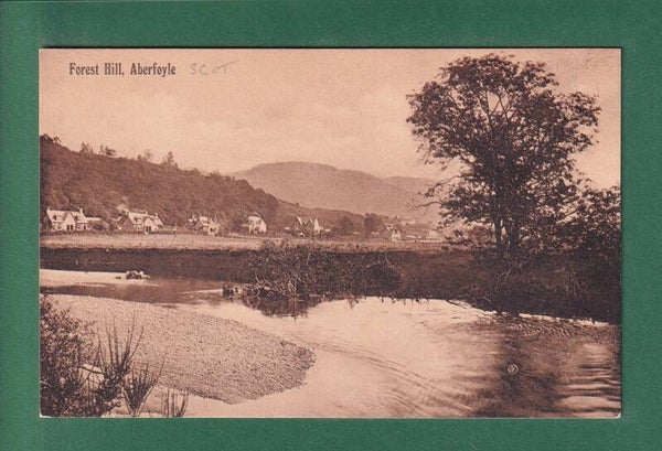 ABERFOYLE - Forest Hill