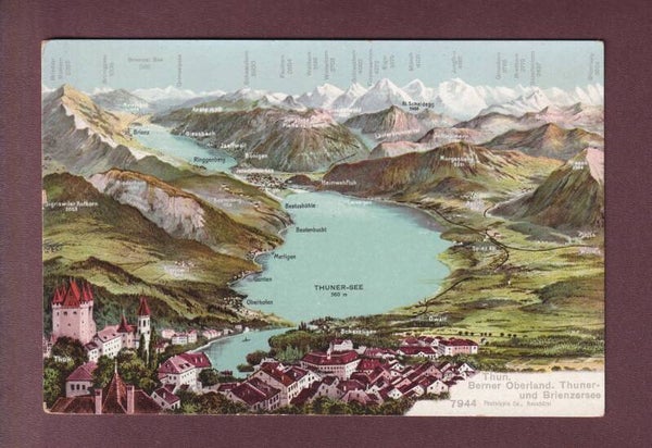 THUN und Umgebung - Vogelschau