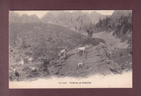 CHEVRES et Chevrier