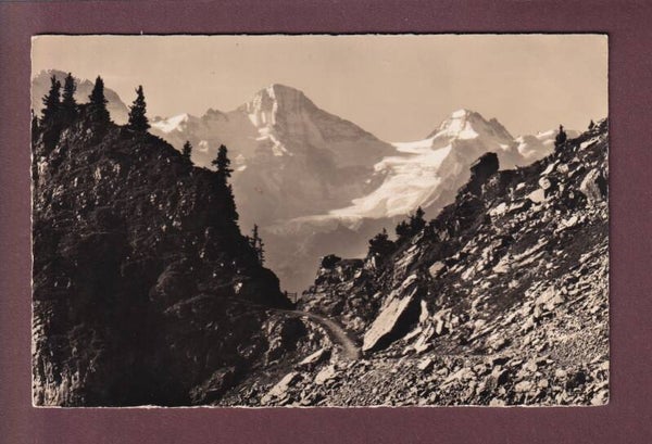 SCHYNIGE PLATTE - Am Weg nach dem Faulhorn