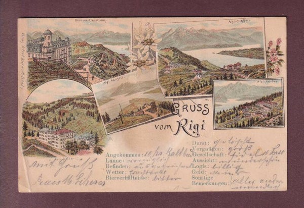 Gruss vom RIGI - 1895 // Fleck + Eckbug //