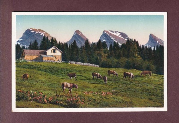 HAAGHÜTTE mit Churfirsten