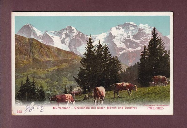 GRÜTSCHALP - Kühe