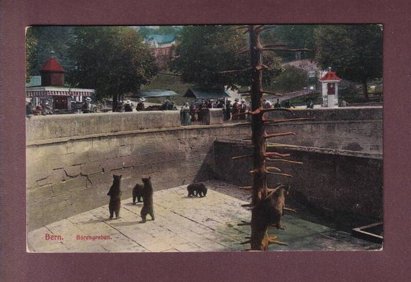 BERN - Bärengraben