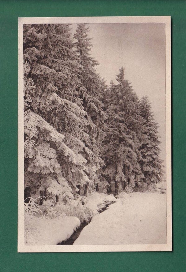 KÖNIGSFELD - Am Waldsee