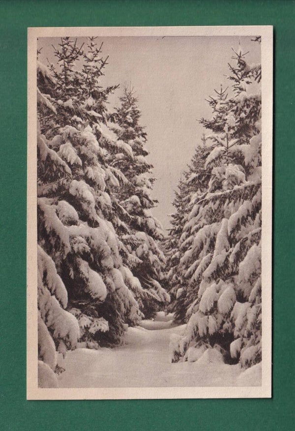 KÖNIGSFELD - Brücklewald