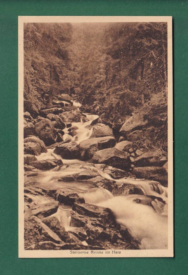 STEINERNE RENNE im Harz