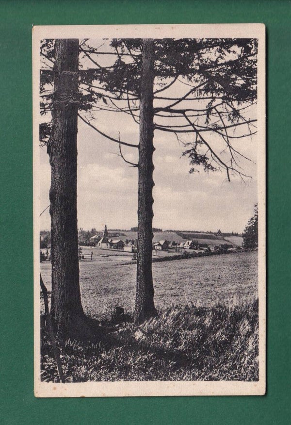 SCHELLERHAU