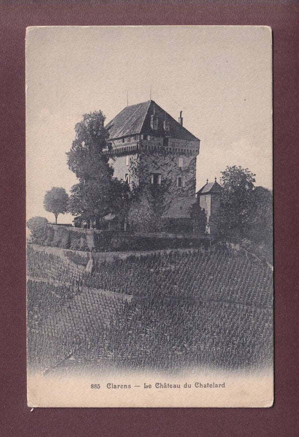 CLARENS - Château du Châtelard - Vignes