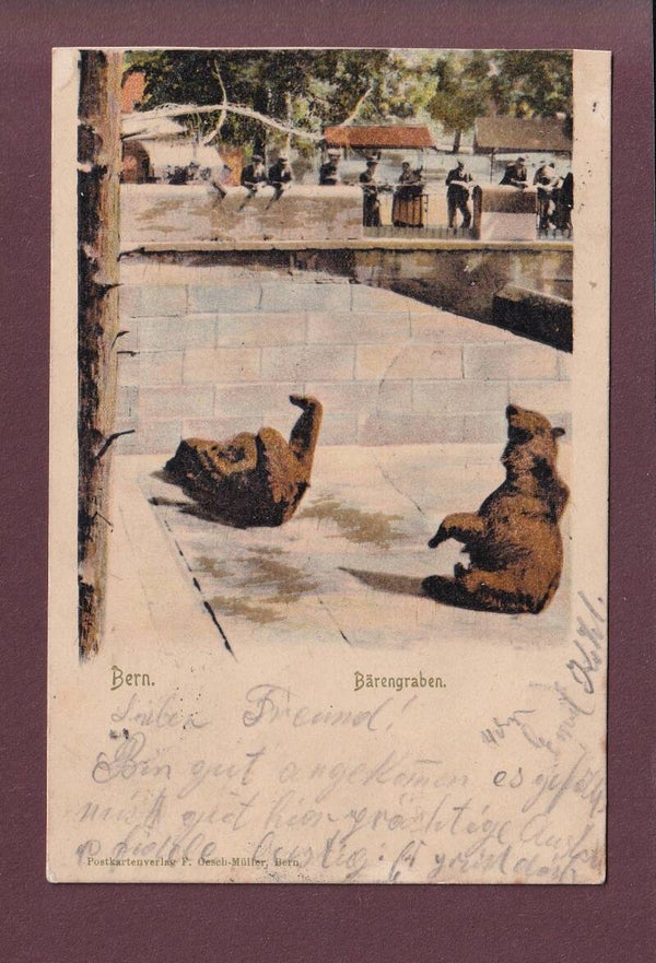 BERN - Bärengraben - 1903 Langstempel