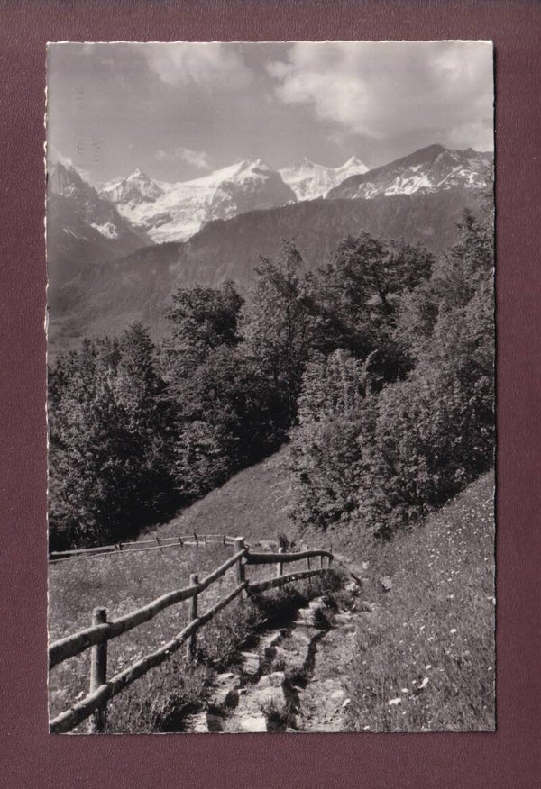 Am HASLIBERG bei Hohfluh - Wetterhörner - 1953