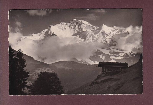 JUNGFRAU im Abendlicht - 1948