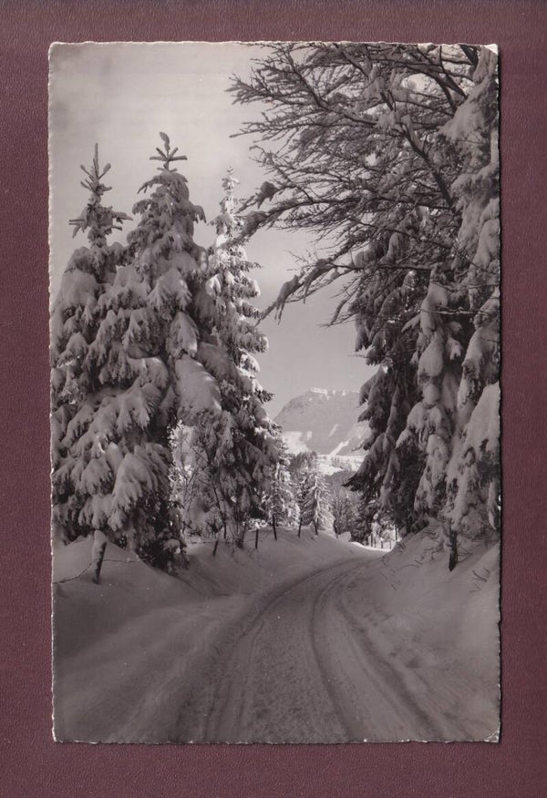 LES PACCOTS - Dent de Lys - 1943