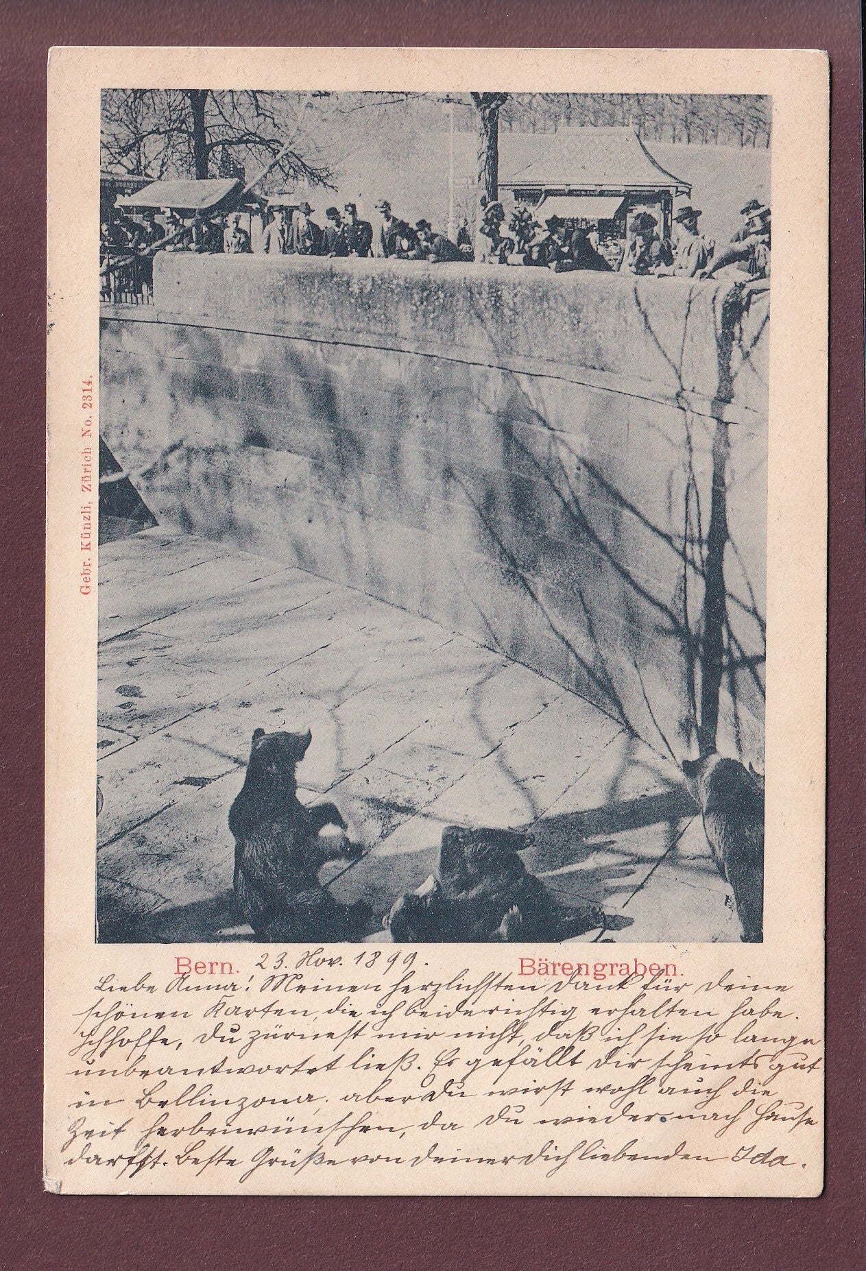 BERN - Bärengraben - 1899
