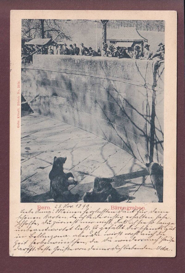 BERN - Bärengraben - 1899