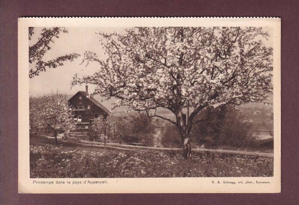 Printemps dans le pays d'APPENZELL