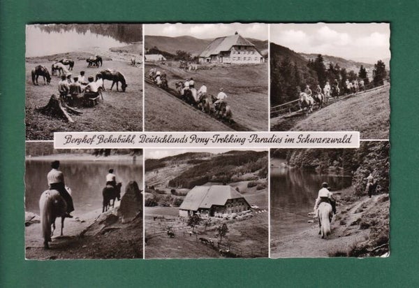 Feldberg-Bärental - Berghof BEHABÜHL - 6 Bilder - 1960
