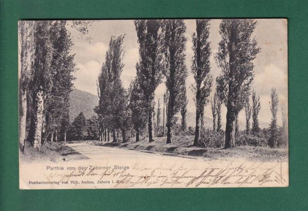 Partie von der ZABERNER STEIGE - 1906
