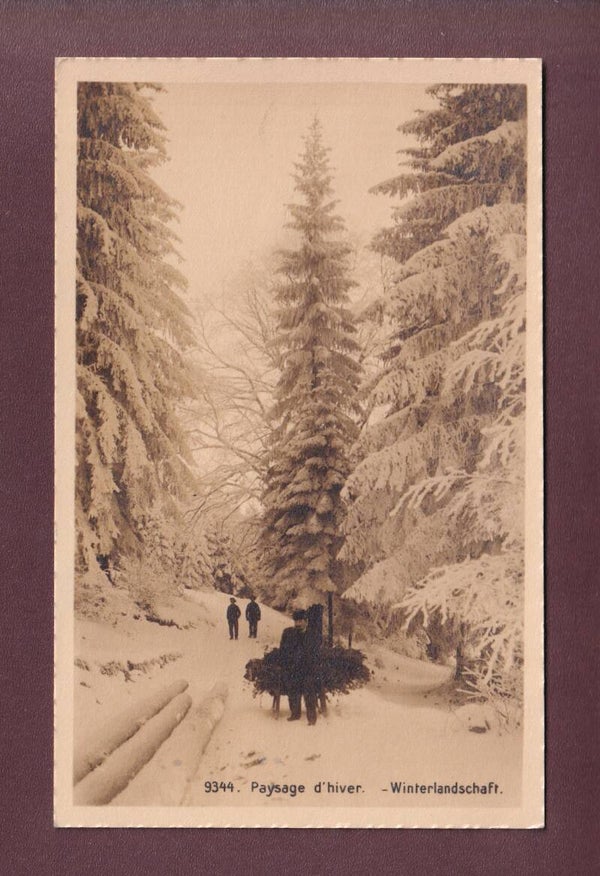 PAYSAGE D'HIVER / WINTERLANDSCHAFT - 1912