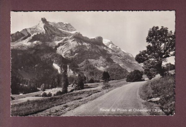 Route du PILLON - Oldenhorn