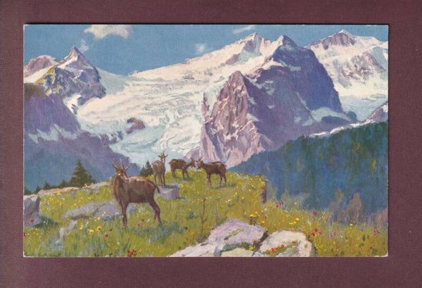 ROSENLAUI bei Paolo Kutscha