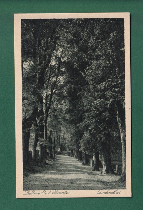 LICHTENWALDE bei Chemnitz - Lindenallee - 1921