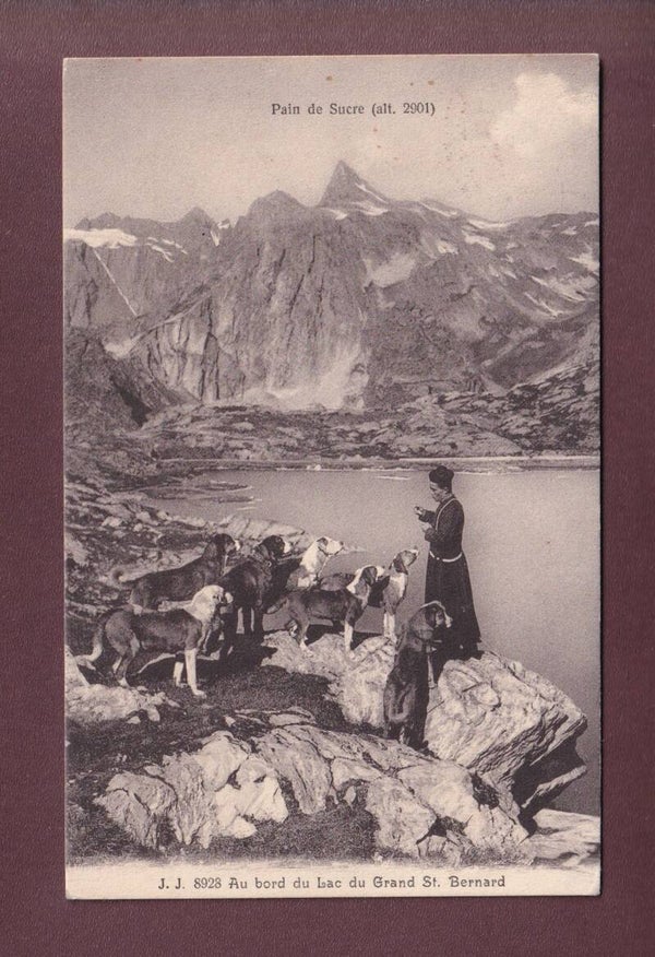 GRAND-SAINT-BERNARD - Maître et chiens - 1921