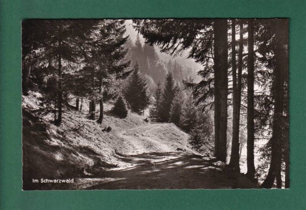 Im SCHWARZWALD