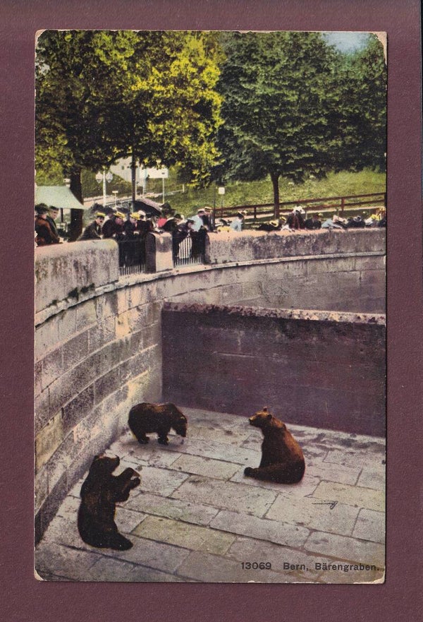 BERN - Bärengraben - 1914