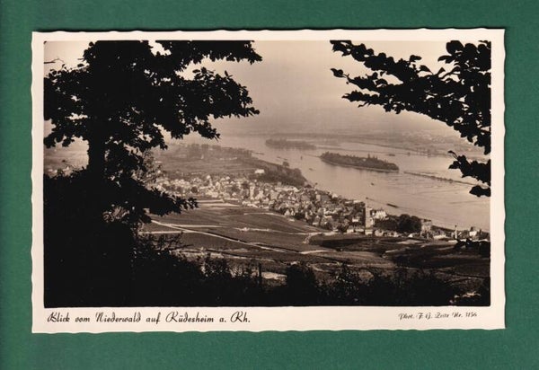 Blick vom Niederwald auf RÜDESHEIM