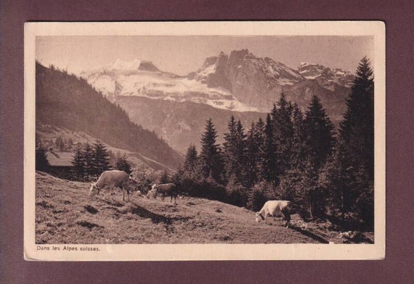 Dans les ALPES - Souvenir club Montagnard Le Mélèze